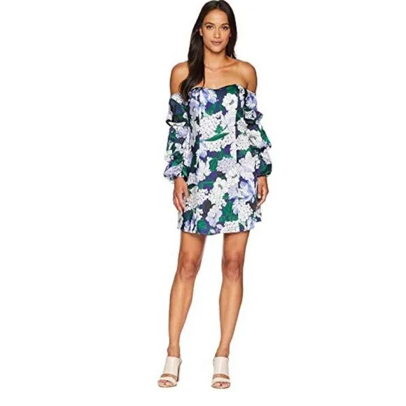ALEXIA Admor Tropical off shoulder dress