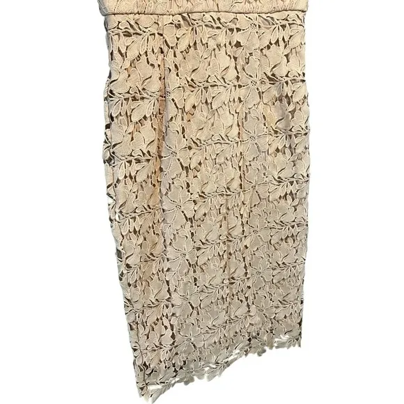 Bardot Valeria Lace Sleeveless Cocktail Sheath Dress US 8 Pink