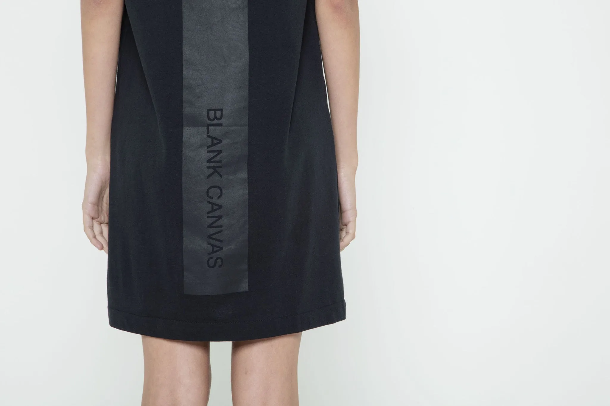 Blank Canvas T Shirt Dress