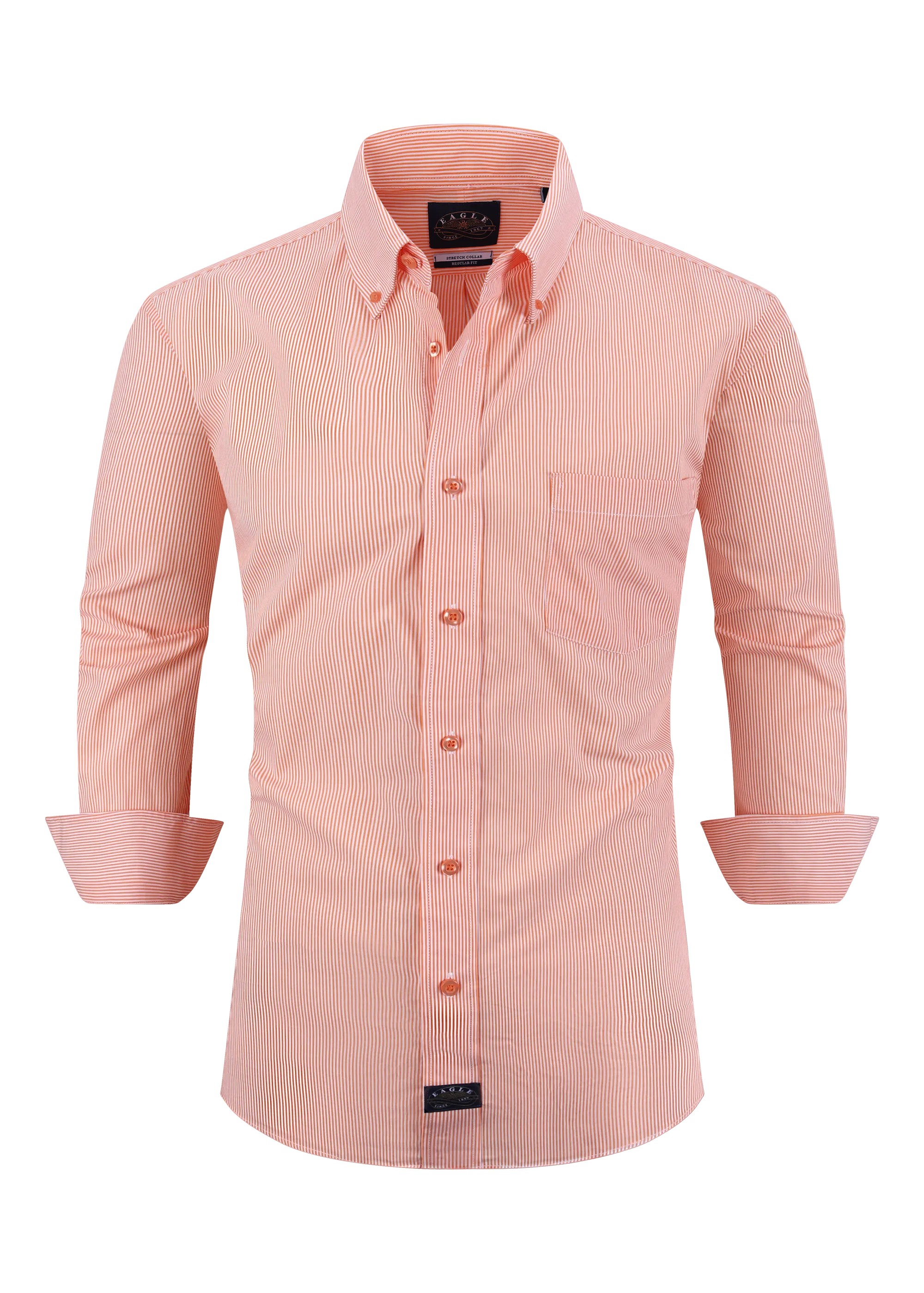 Eagle Stretch Neck Striped Poplin Shirt