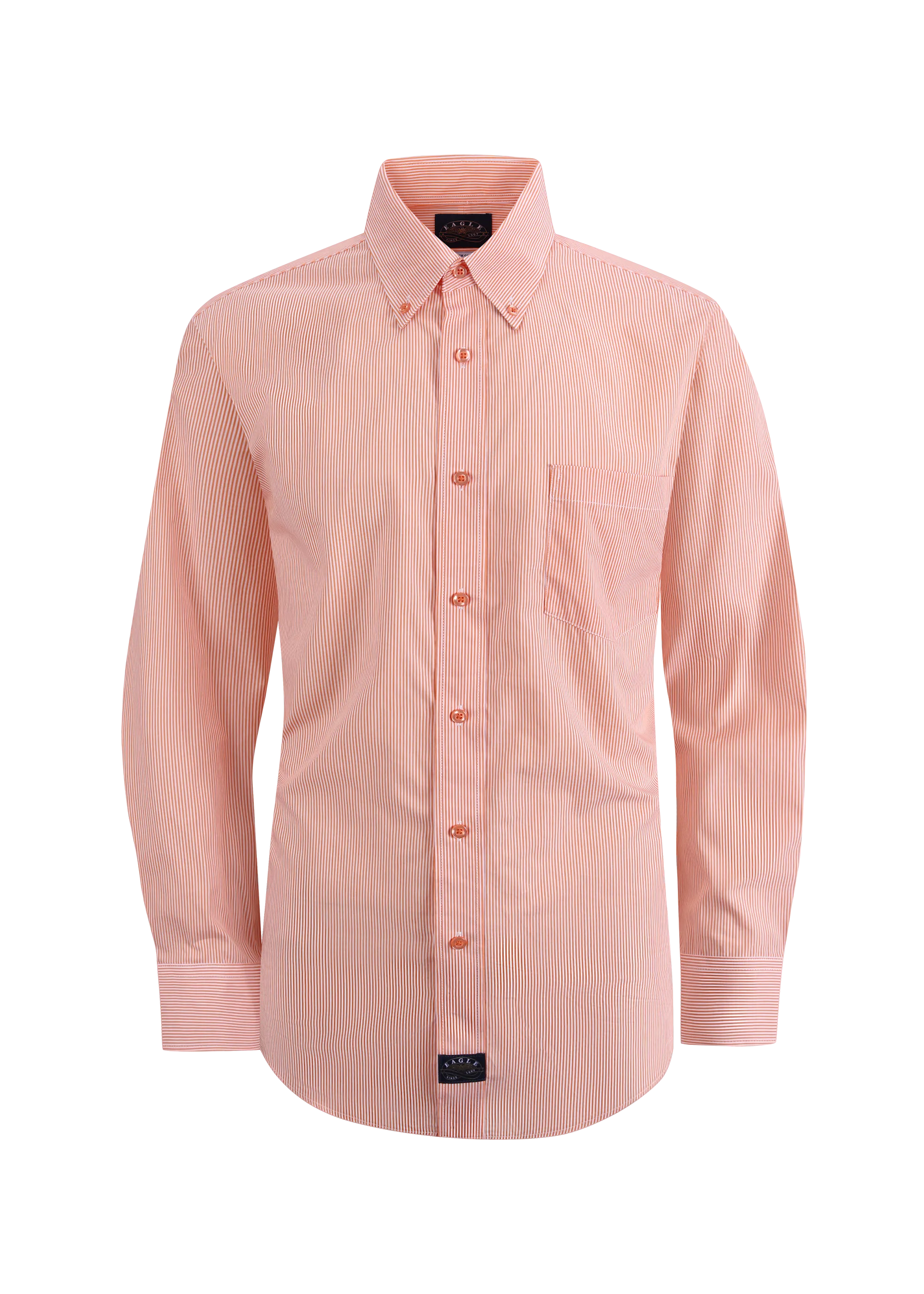 Eagle Stretch Neck Striped Poplin Shirt