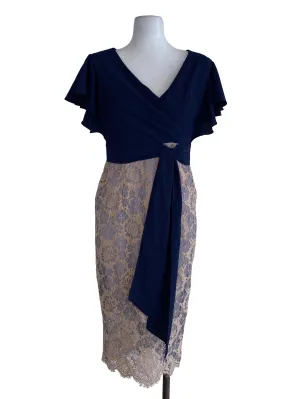 Navy Lace Sheath Dress