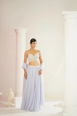 Powder Blue Embroidered Lehenga Set