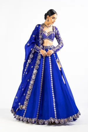 Royal Blue Embellished Blouse And Lehenga Set