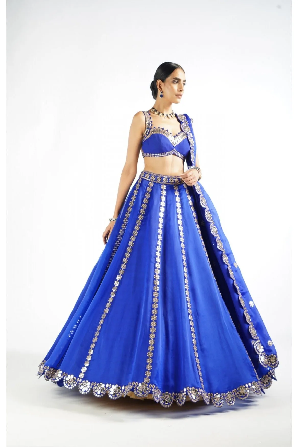 Royal Blue Flower Linear Lehenga Set