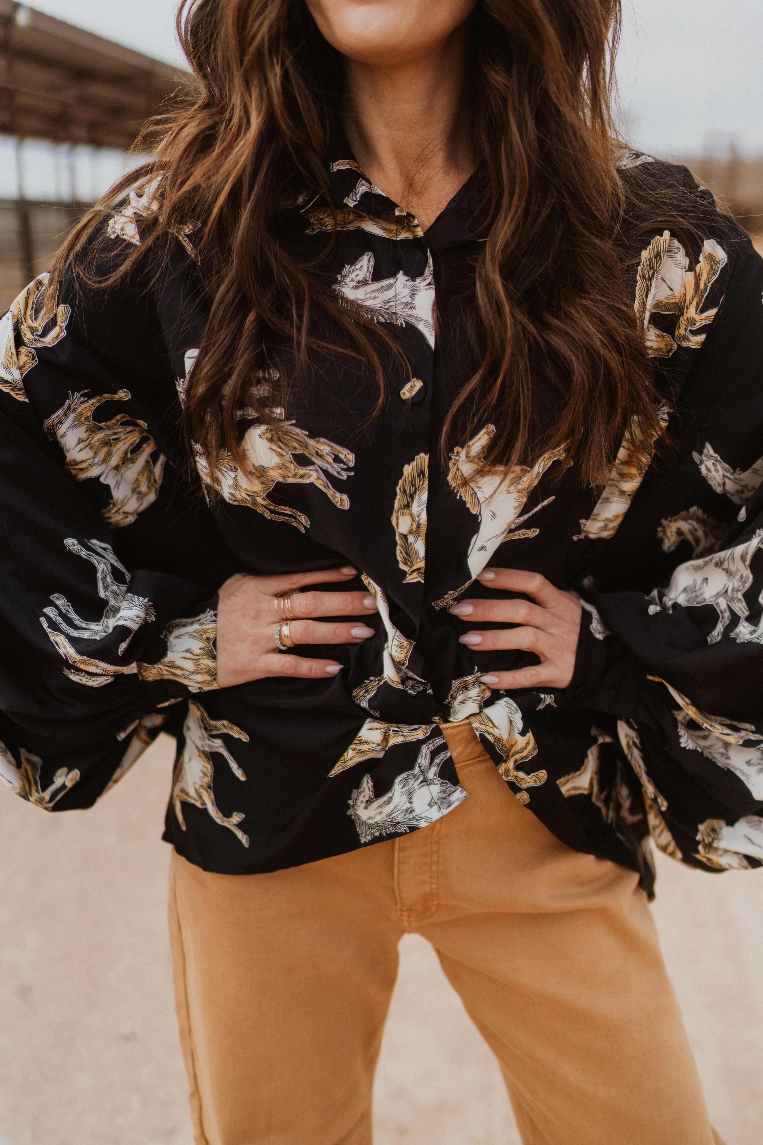 Secretariat Blouse