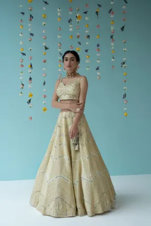 Yellow Organza Lehenga Set